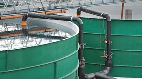 Energy-efficient gas management for aquaculture. Linde engineers have developed a new, highly energy-efficient oxygenation system called SOLVOX® OxyStream.
